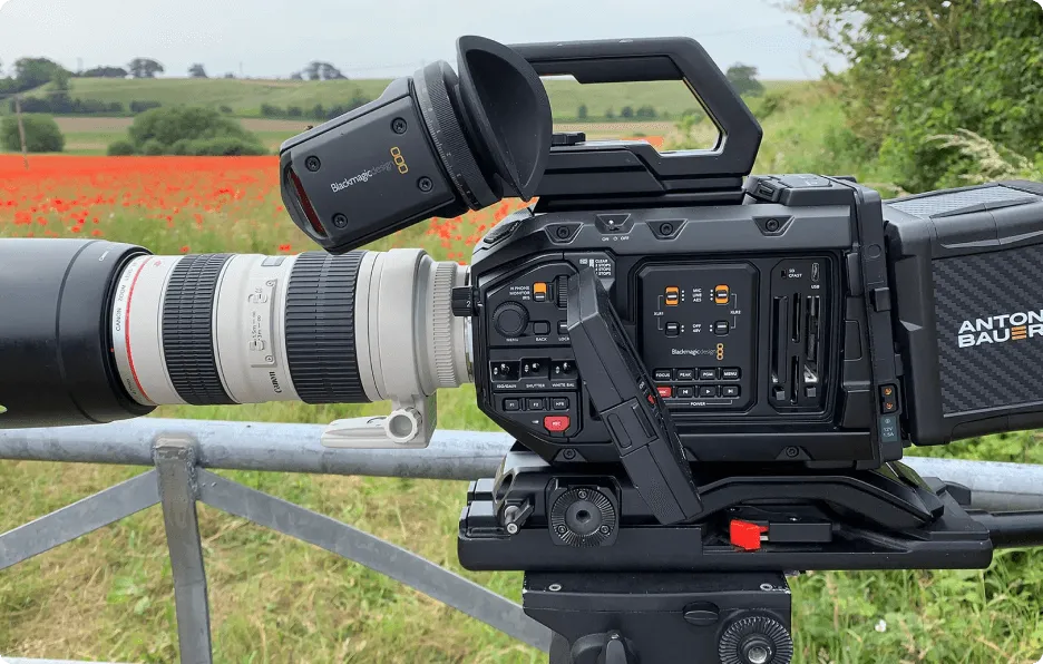 Изображение__2